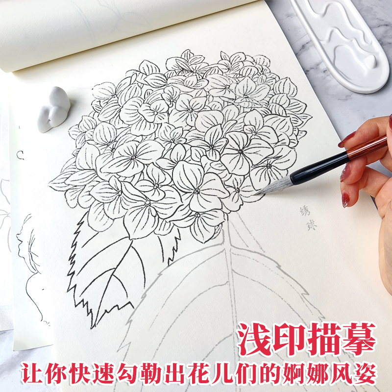 百花绘白描描摹练习本 描线控笔涂色大开本 中国画白描入门 工笔花卉线稿底稿 勾线笔临摹图谱 勾线涂色彩铅水彩 学画画临摹画册 - 图0