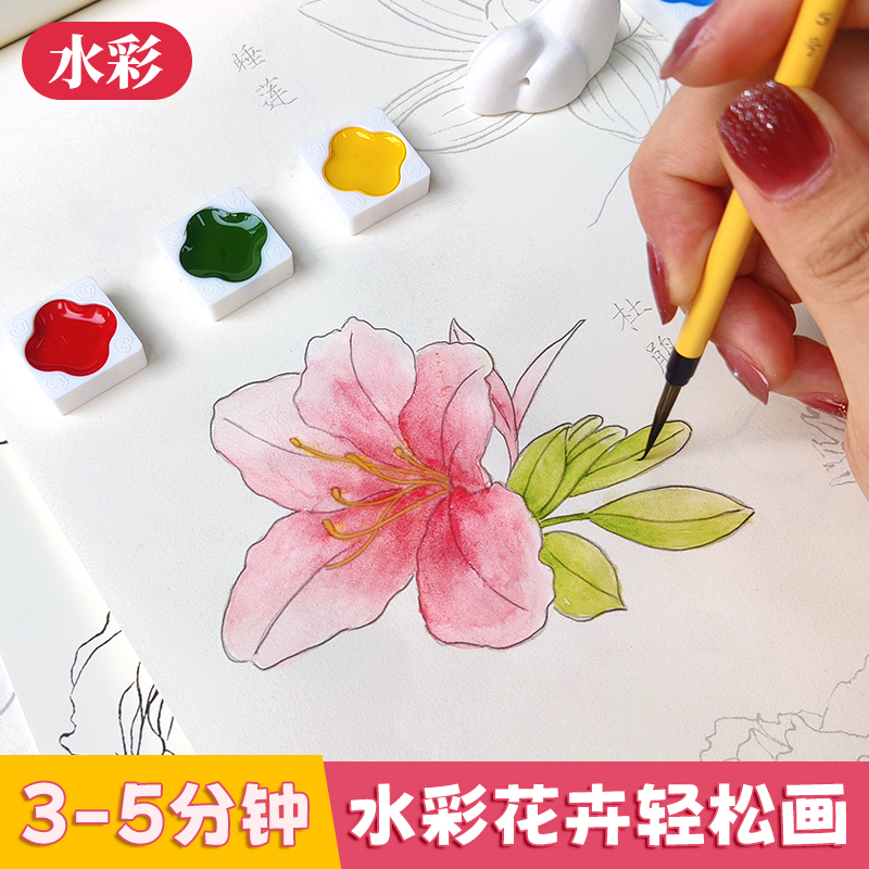 百花绘白描描摹练习本 描线控笔涂色大开本 中国画白描入门 工笔花卉线稿底稿 勾线笔临摹图谱 勾线涂色彩铅水彩 学画画临摹画册 - 图1