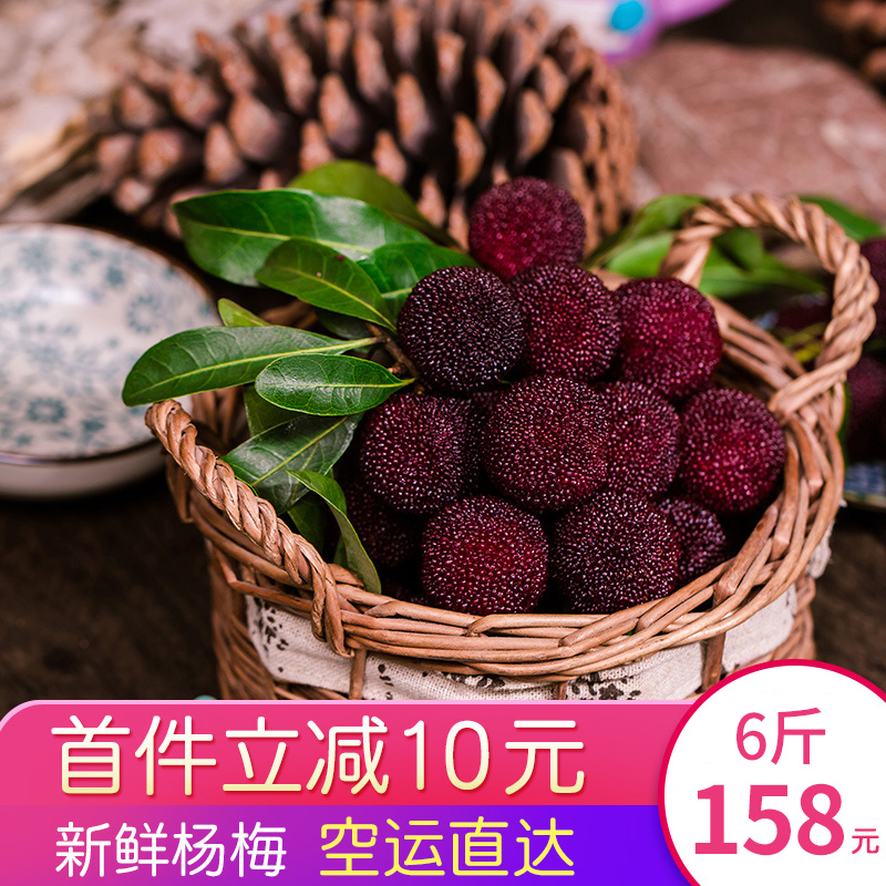 仙庆旗舰店云南杨梅新鲜孕妇当季水果6斤东魁大杨梅现摘现发整箱非仙居福建0