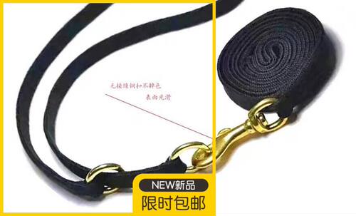 进口买3送一训练大中小型犬通用比赛犬展扁形P链+牵引绳套装包邮 - 图1