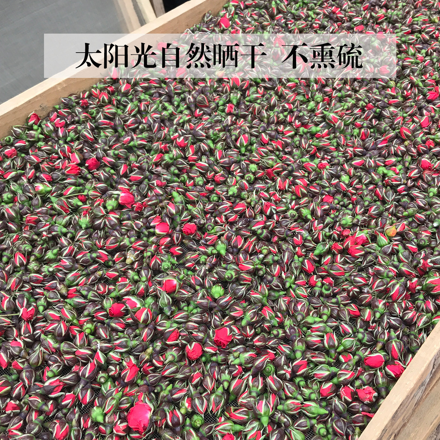 新货云南金边玫瑰花茶300g罐装无硫冻干玫瑰花蕾玫瑰花茶泡水玫瑰,淘宝优惠券,粉丝福利购,淘宝优惠卷