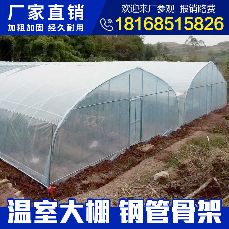 小鸡温室 新人首单立减十元 22年4月 淘宝海外