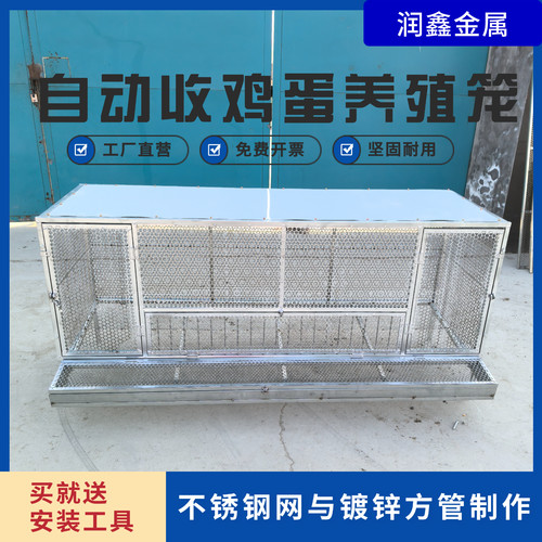 鸡笼可自动收纳鸡蛋防黄鼠狼自动滚落鸡蛋不锈钢网片镀锌支架 - 图2