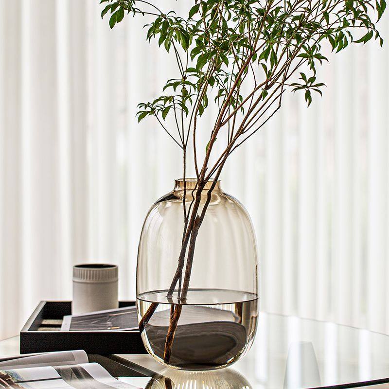 玻璃花瓶轻奢高级感大肚摆件插花客厅透明吊钟南天竹玄关极简鲜花,淘宝优惠券,粉丝福利购,淘宝优惠卷