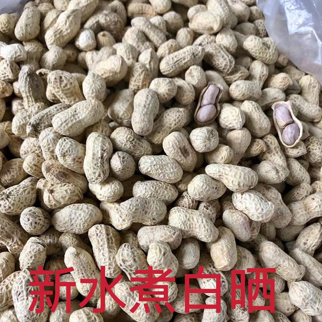 新龙岩水煮花生白晒咸干湿烤蒜香盐原味散熟零食坚果农家特产包邮 - 图1