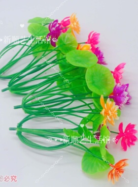 睡莲荷花造景缸乌龟鱼缸造景