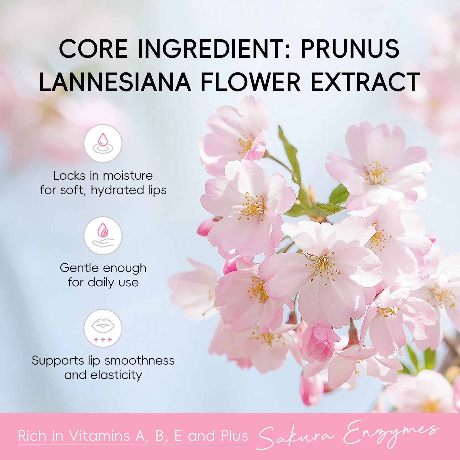 Japan Sakura Lip Balm  日本樱花润唇膏,淘宝优惠券,粉丝福利购,淘宝优惠卷