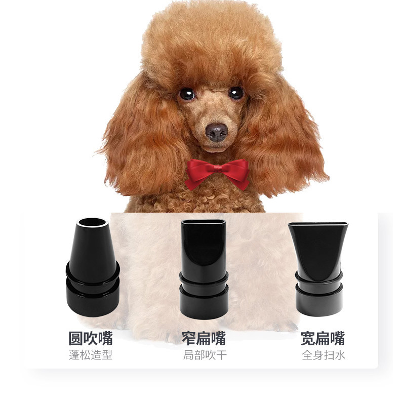 春舟宠物猫狗专用泰迪金毛大型犬吹水机吹风机大功率家用静音吹干