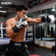 Molded gallbladder boxing gloves wear-resistant training and fighting