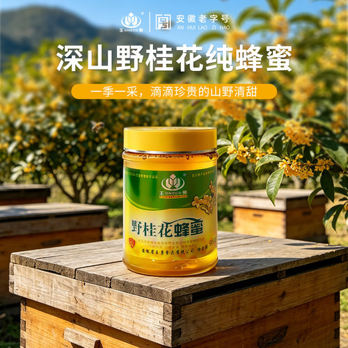出口40年野桂花蜂蜜洋槐蜂蜜土蜂蜜枣花蜂蜜紫云英蜂蜜枸杞蜂蜜 - 图0