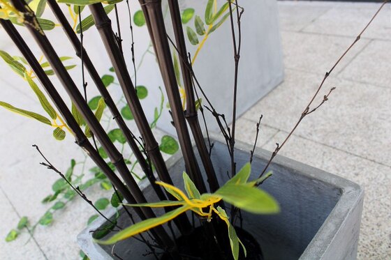 High-end Zen style study Chinese style landscape simulated bamboo