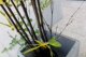 High-end Zen style study Chinese style landscape simulated bamboo