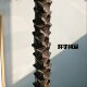 High-end simulated green plants, large coconut trees, loose-tailed sunflowers, landscape, commercial shop windows, conference room decoration trees