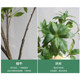Simulated horse drunken wood green plants high-end light luxury living room hotel shop TV cabinet B&B decorative ornaments floor-standing fake plants