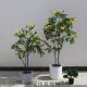 Free shipping for medium and large Nordic style simulation floor-standing traveler banana