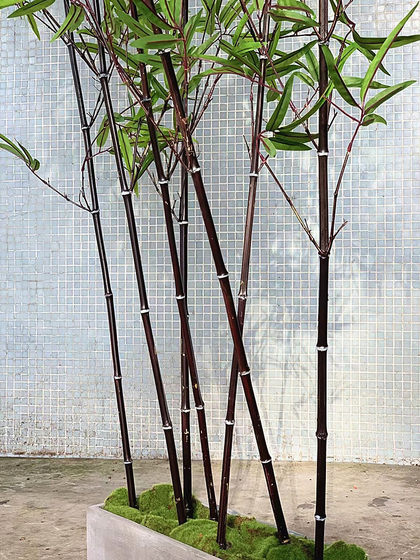 High-end simulated purple and green bamboo Zen window decorations