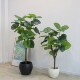 High-end simulated love ficus potted plant for interior decoration
