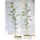 High-end simulated purple and green bamboo Zen window decorations