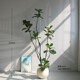 Simulated green plant rubber fiddle leaf fig artificial flower tree living room