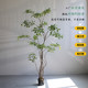 Bimei Crafts Terminalia tree high-end simulated green plants