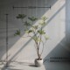 Top Ten Contributions to High-end Simulation Trees Ye Xiazhu