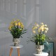 High-end simulated green plant indoor fake narcissus bonsai