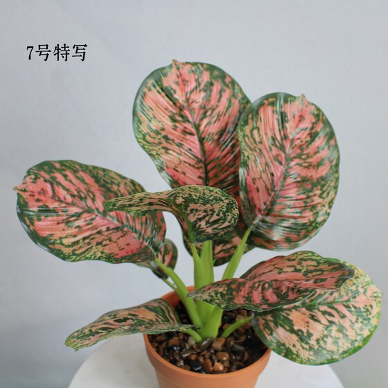 High-end simulated evergreen indoor potted plants
