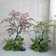 High-end simulated green plants, red wood bonsai, plant landscape ornaments under the stairs, villa shop window landscaping decoration