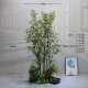 High-end simulated green plant landscaping with Zen-like golden thread and purple bamboo