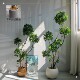 Simulated Pittosporum bonsai indoor living room decoration