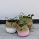 Seagrass Folding Basket Supplies Simulated Plant Round Flower Pot