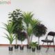 Nordic style bird of paradise interior decoration simulation plant