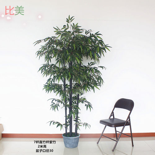 仿真竹子植物假金丝四季紫竹树装饰加密造景绿植客厅橱窗屏风装饰 - 图2