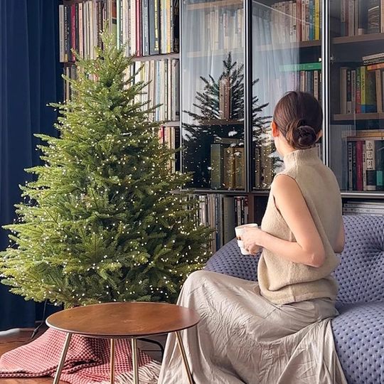 2025新款纯PE大型发光圣诞树家用客厅室内摆件圣诞装饰品裸树套餐