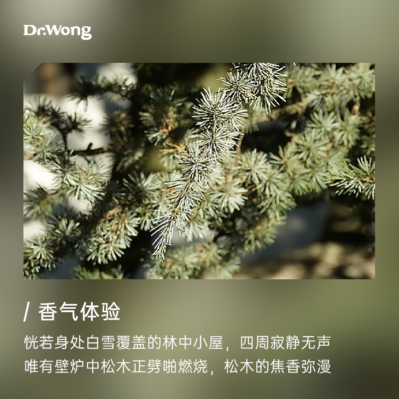 Dr.Wong大西洋雪松单方精油香气浑厚能量强天然植物精油香薰扩香-图0