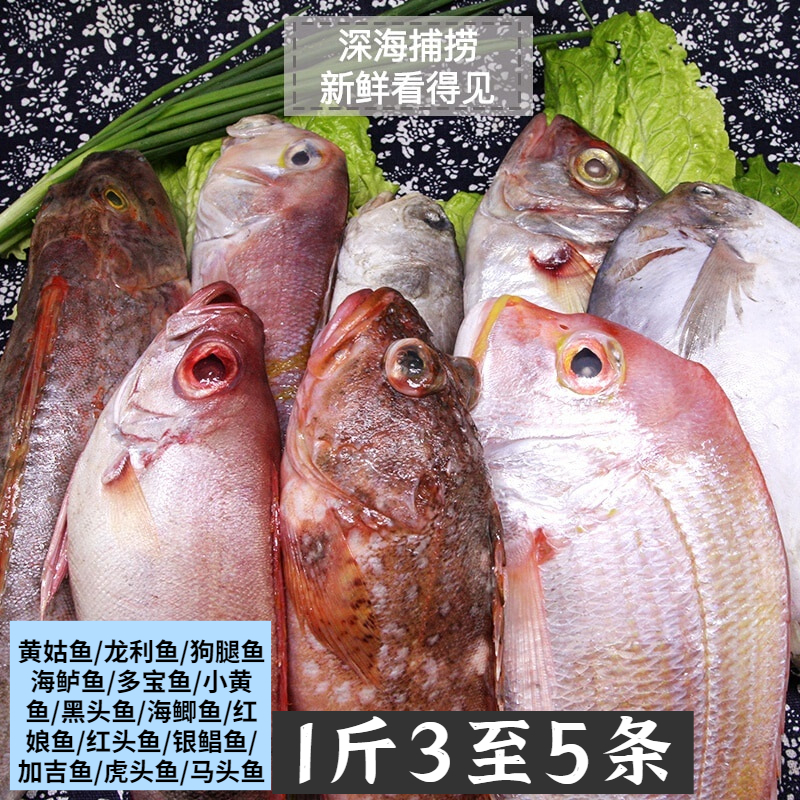 野生海杂鱼鲳鱼黄花鱼海鲈鱼鳘鱼踏板鱼台霸鱼随机发货5斤送半斤 - 图0