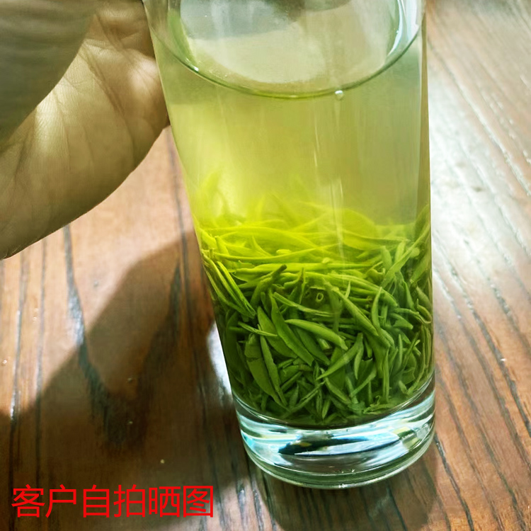 信阳毛尖2024新茶正宗信阳毛尖特级嫩芽2024信阳毛尖明前茶初芽-图0