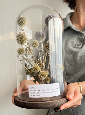 样板间轻奢植物标本装饰品玻璃罩摆件花艺中草药复古简约标摆件
