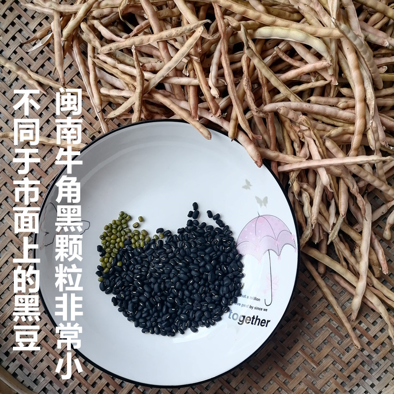 闽南牛角黑农家小黑豆自然晒干营养粗粮500g福建泉州白芯牛角黑豆 - 图0