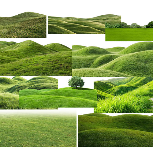 PS高清草坪草地草丛花境绿化地被贴图PSD免抠公园景观效果图素材 - 图0