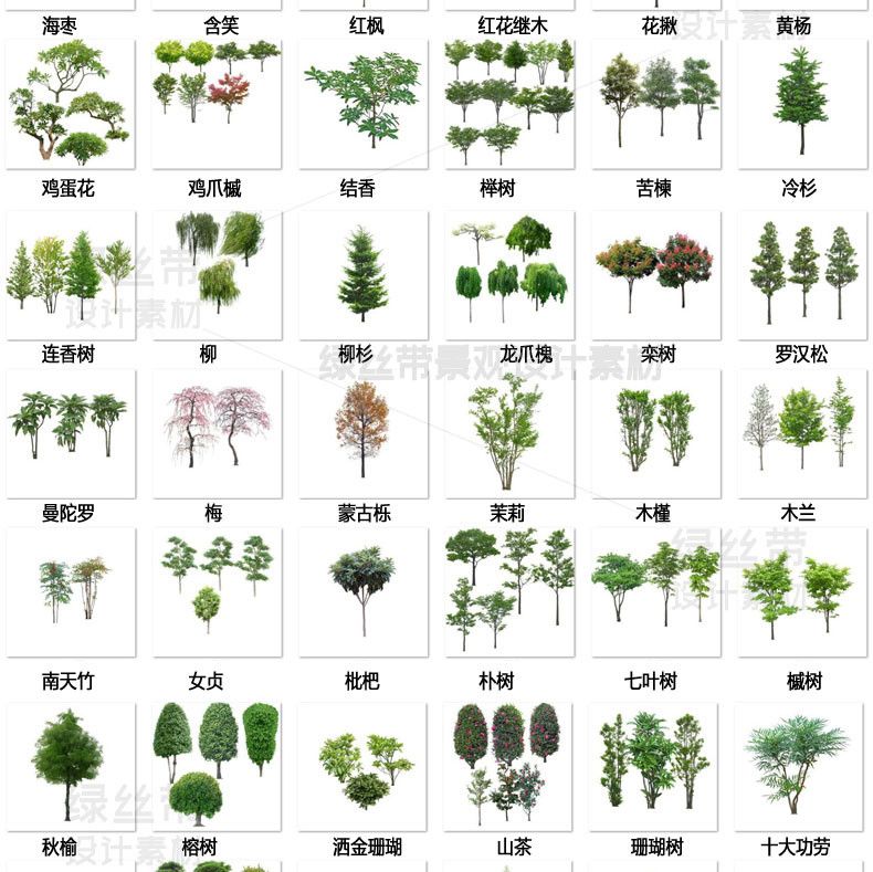 园林景观乔木 ps素材PNG免抠常用树木植物效果图后期PSD常绿小乔 - 图1