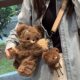American Hot Girl Bear Plush Cute Crossbody Bag