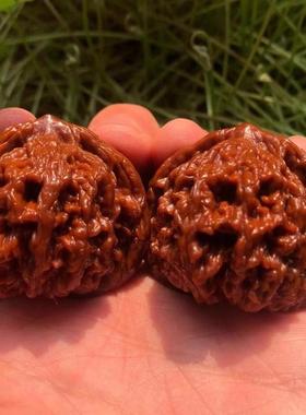 文玩核桃狮子头涞水麻核