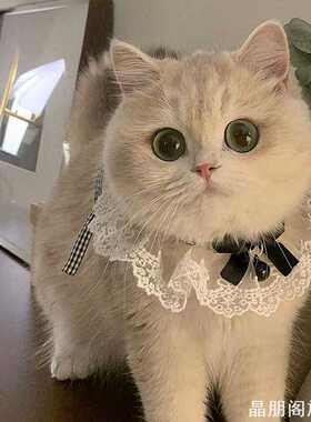 猫咪项圈巾口水巾围兜狗围兜狗狗小猫个性铃铛饰品ins风