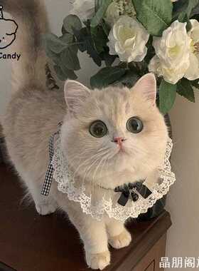 个性铃铛饰品节围巾口水巾猫咪项圈宠物围脖猫咪项圈家用