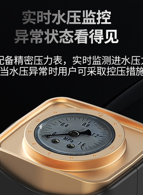 叠片全自动前置过滤器反冲洗