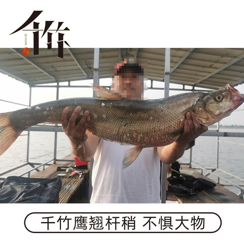 千竹鹰翘筏钓竿稍杆稍夜光纳米玻纤钛合金桥筏伐杆筏竿竿稍 - 图2