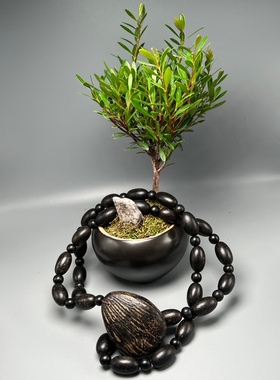 芽庄黑棋虫漏沉香随型项链情侣款男女士毛衣链药香清甜好闻佛珠