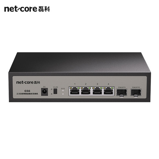 Puerto de red LEIKE 2.5G 4/8 + 10G 10G El puerto óptico SFP es compatible con el cable de seguridad de seguridad de Gigabit Home Cable NAS de alta velocidad NAS se puede usar para liberar GS6V2 de rack de caja débil