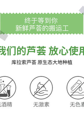香港NCCU芦荟胶268g正品祛痘淡印滋润补水保湿晒后修护芦荟灌肤女